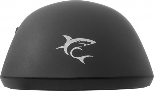 White Shark Graphene