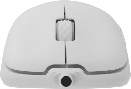 White Shark Graphene