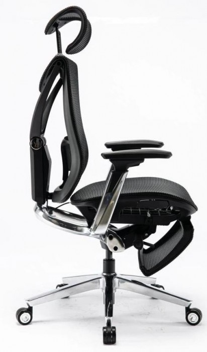 ADAPWORK S1 Mesh Pro Max Senior ErgoChair