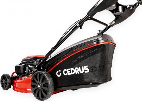 Cedrus KS48S