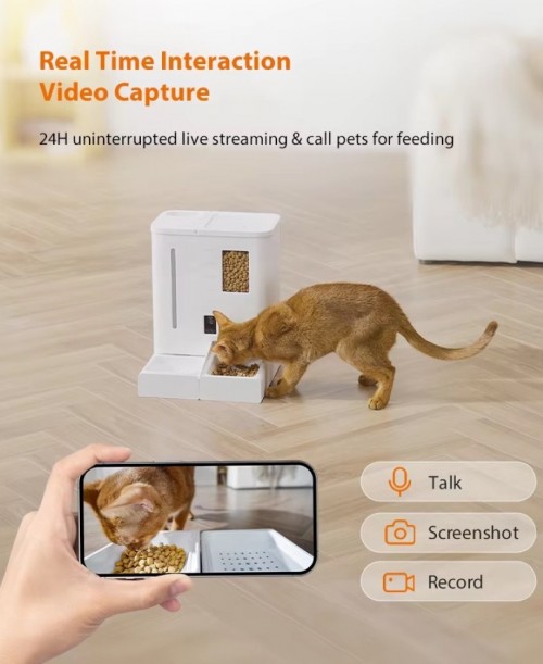 Pet Life DUF03-Video