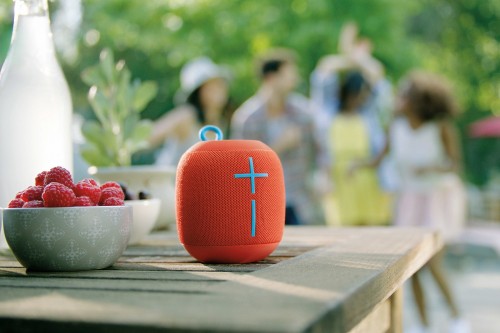 Ultimate Ears Wonderboom