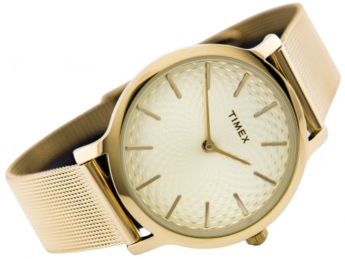 Timex TW2R36100