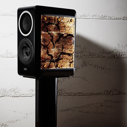 TAD Compact Evolution One