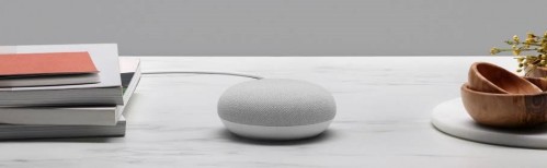 Google Nest Mini