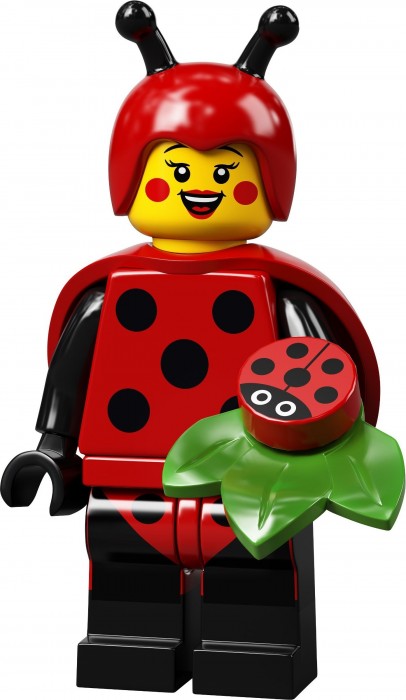 Lego Series 21 71029