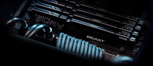 Kingston Fury Beast DDR5 1x16Gb