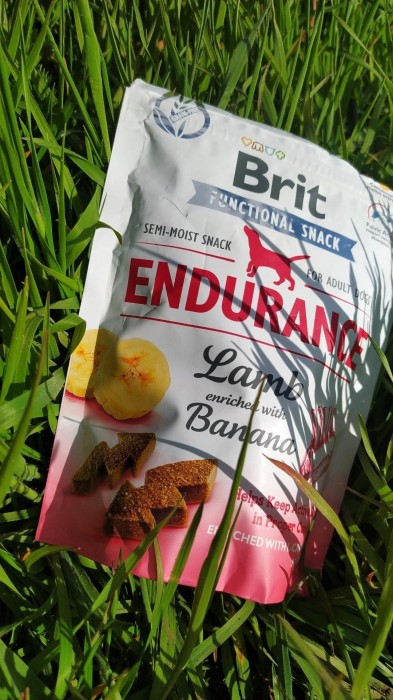 Brit Care Functional Snack Endurance Lamb 0.15 kg