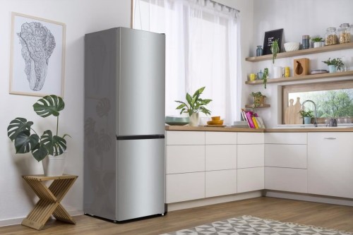 Gorenje RK 62 EXL4