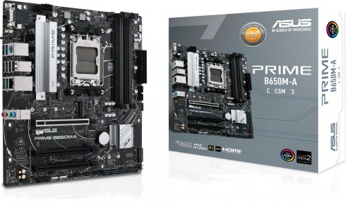 Asus PRIME B650M-A-CSM