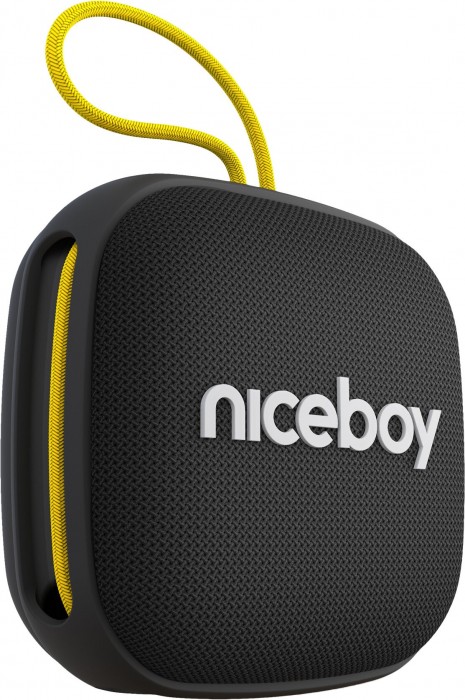 Niceboy Raze Mini 4