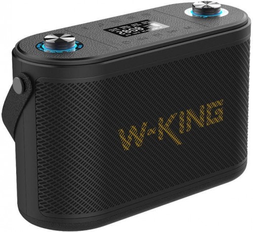 W-King H10