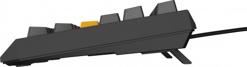 Genesis Thor 230 TKL Brown Switch