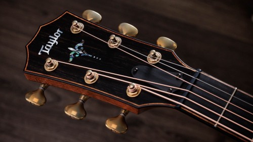 Taylor Builder's Edition 914ce WHB
