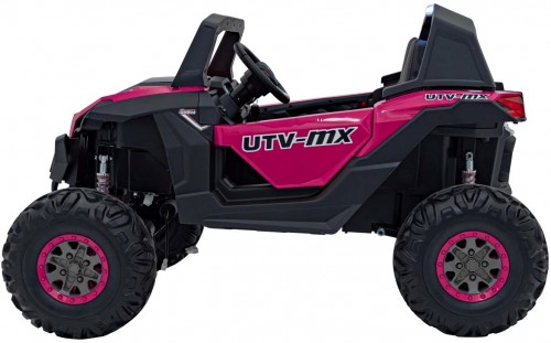 Ramiz Buggy UTV-MX 2000N