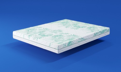 Latona Prime Keiko Tori