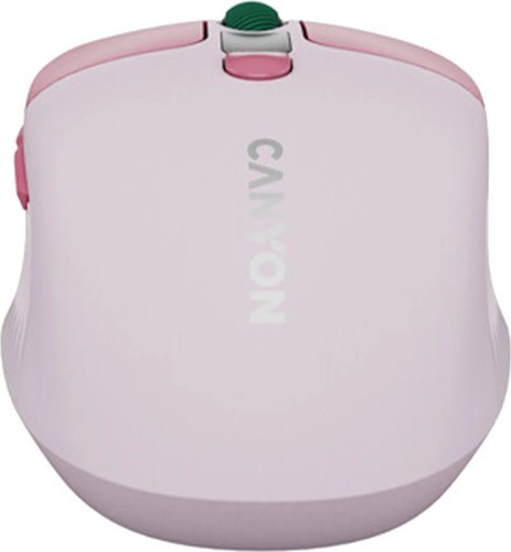 Canyon CNS-CMSW26