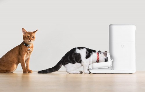 Catlink Fresh 2 Standard