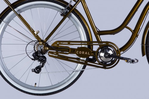 Dorozhnik Coral Vbr 2025