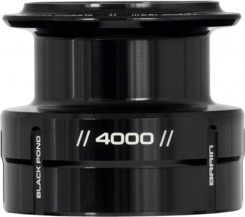 Brain Black Pond 3000