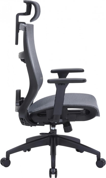 OfficePro Balance OC620
