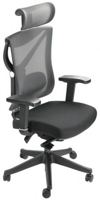 ADAPWORK S1 Senior ErgoChair