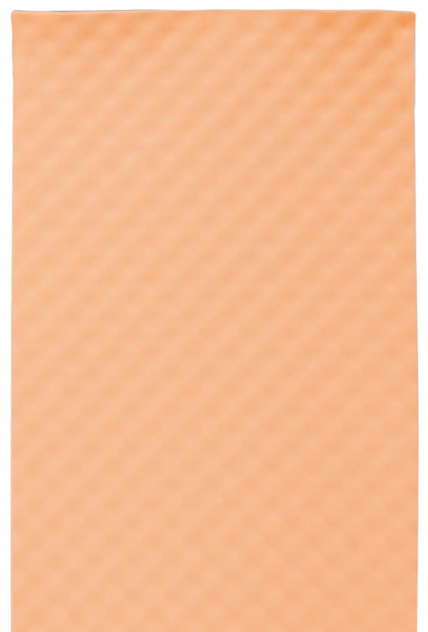 Highlander Comfort Camping Mat