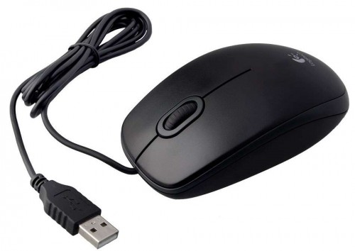 Logitech B100