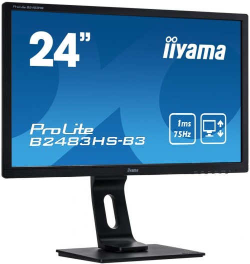 Iiyama ProLite B2483HS-B3