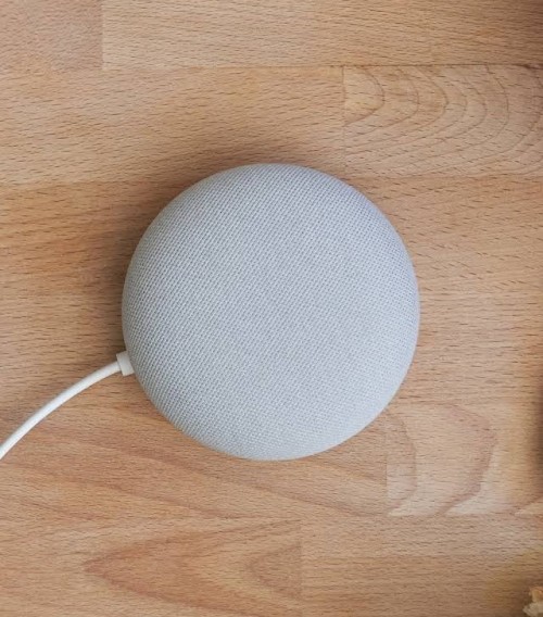 Google Nest Mini