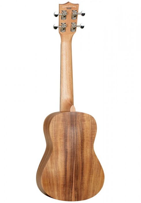 Tanglewood TWT8