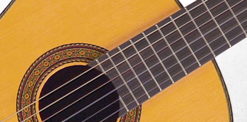 Takamine C132S