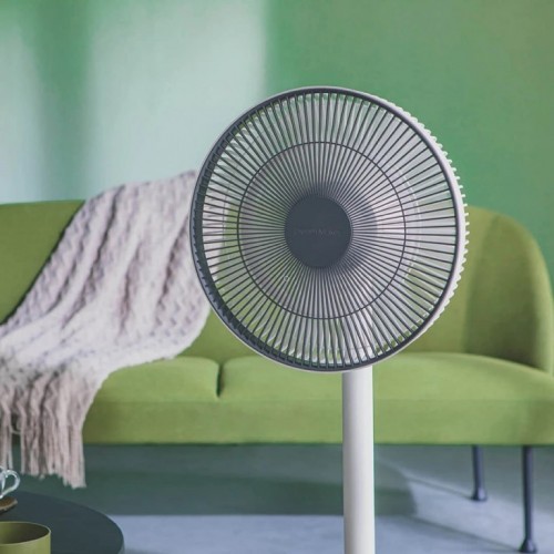 Xiaomi DM-FAN01