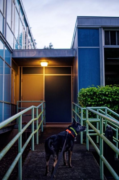 TTArtisan 35mm f/1.4