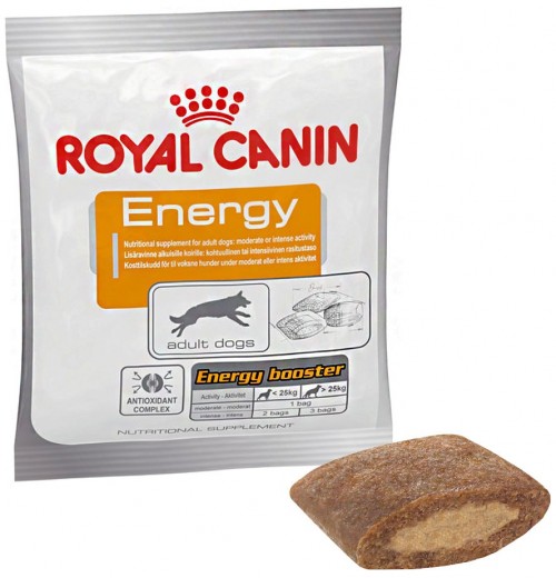 Royal Canin Energy