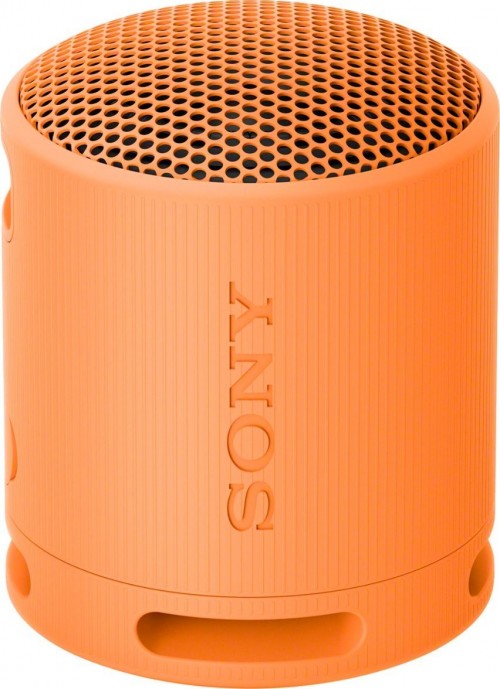 Sony SRS-XB100