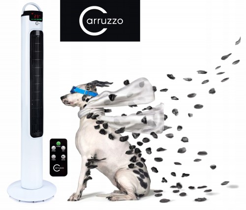 Carruzzo Q26D5