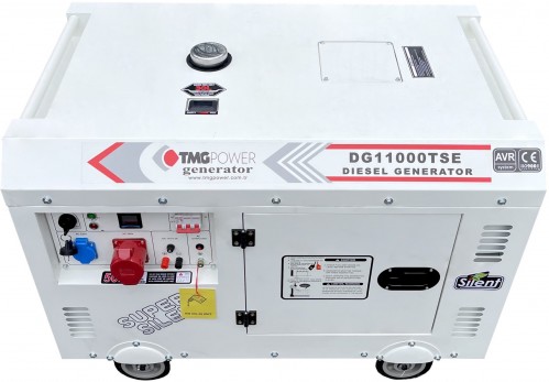 TMG Power DG11000TSE