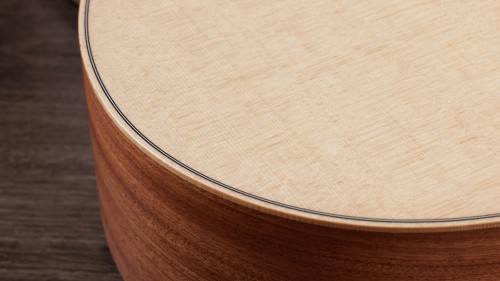 Taylor GS Mini Sapele