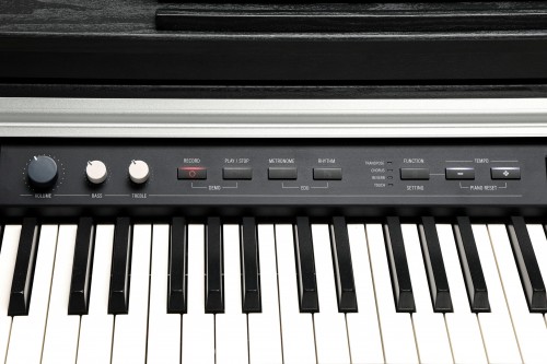 Kurzweil CUP P1