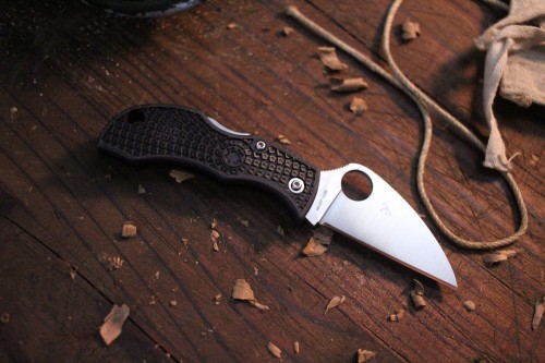 Spyderco Manbug Wharncliffe