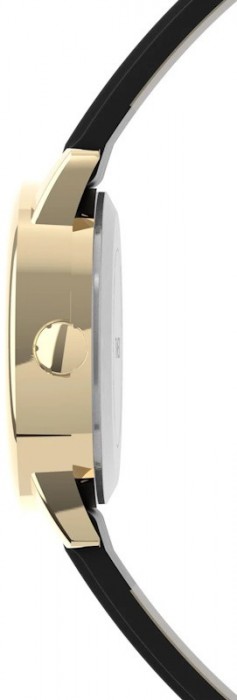 Timex Easy Reader T2H341