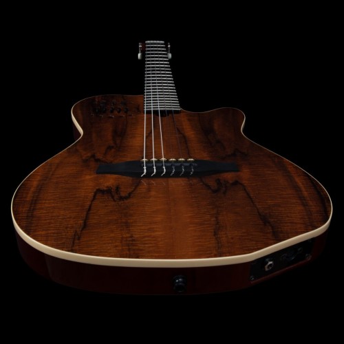 Godin ACS Nylon KOA Extreme HG