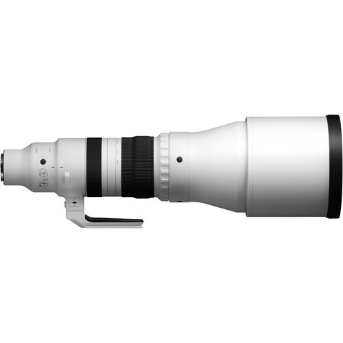 Sigma 300-600mm f/4.0 Sports OS DG