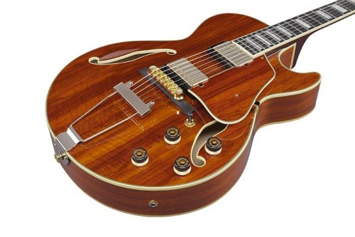 Ibanez AG95K
