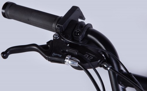 Dorozhnik eAdamant DD FR 500W 2025