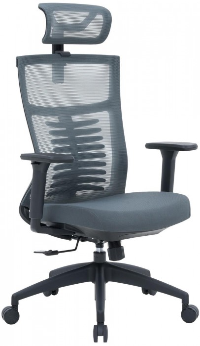OfficePro Balance OC550