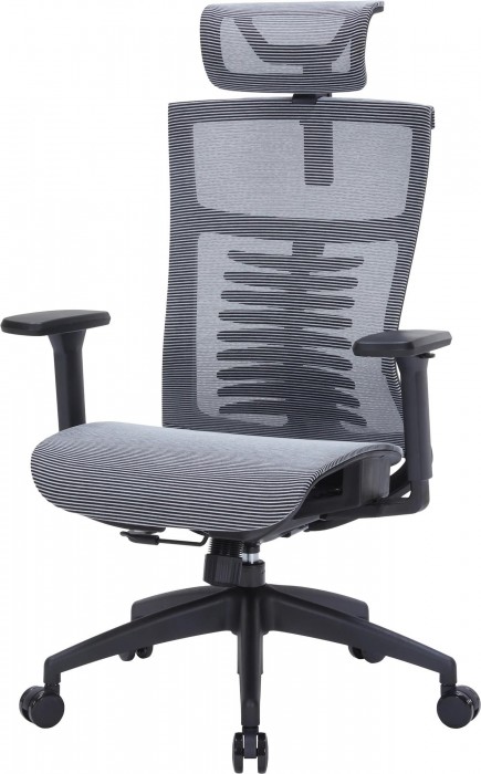 OfficePro Balance OC620