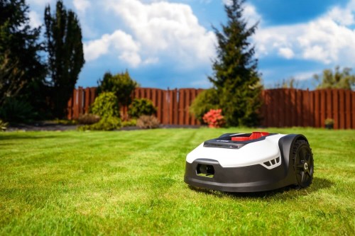 Cedrus C-MOW M10