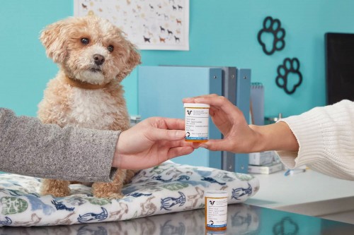 DYMO LabelWriter 5XL